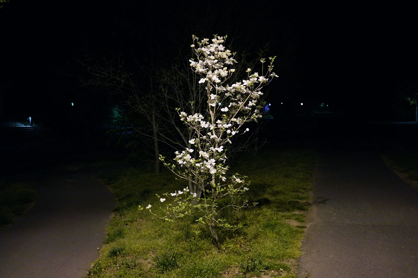 2012