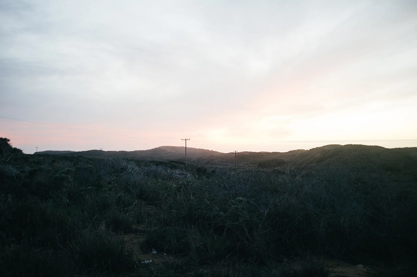 2016