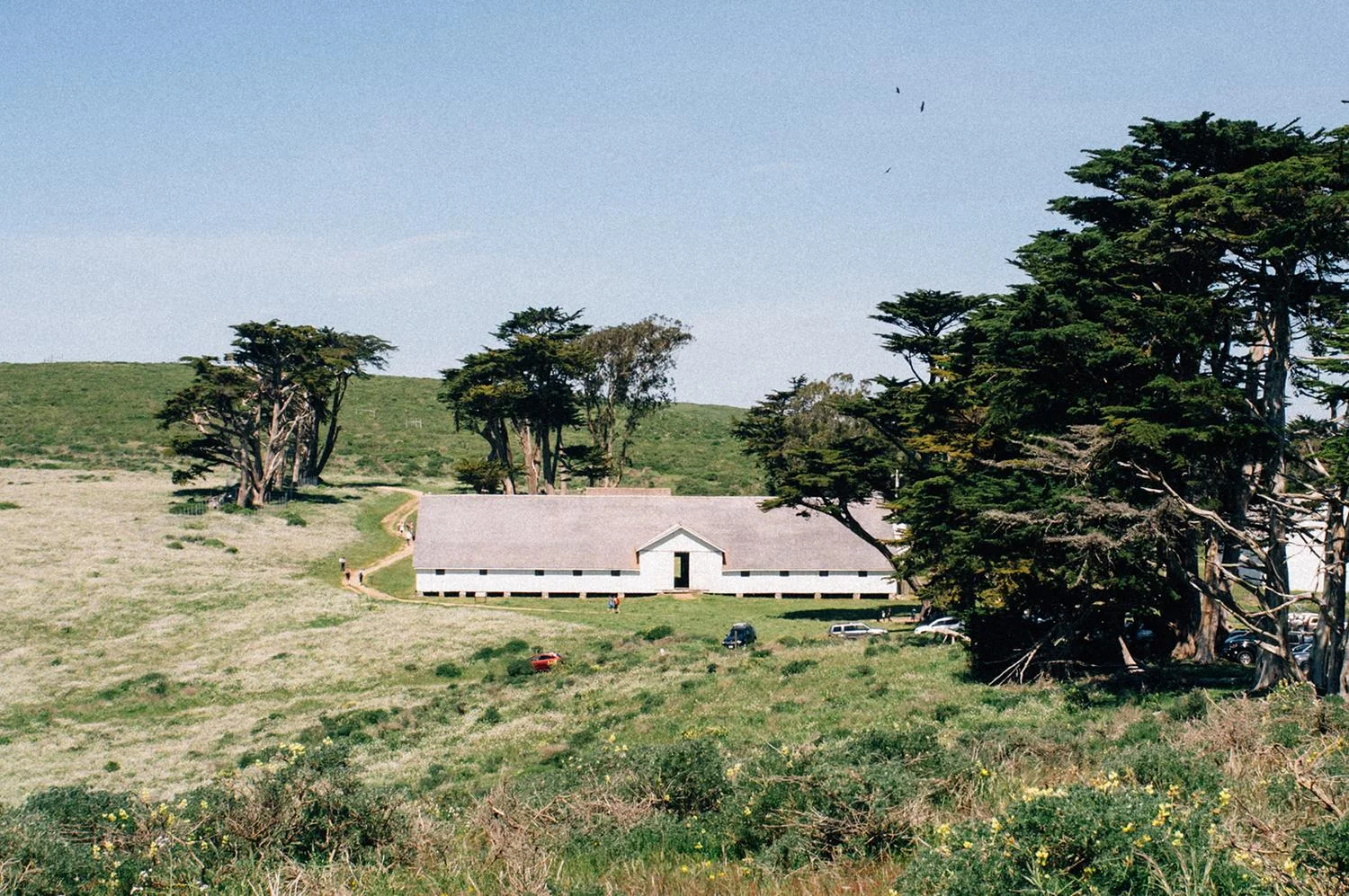 2016